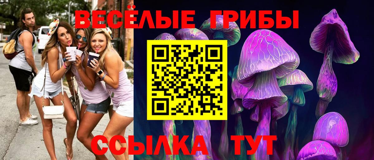 Псилоцибиновые грибы GOLDEN TEACHER  Вход с VPN  Саяногорск  Псилоцибиновые грибы Cubensis 
