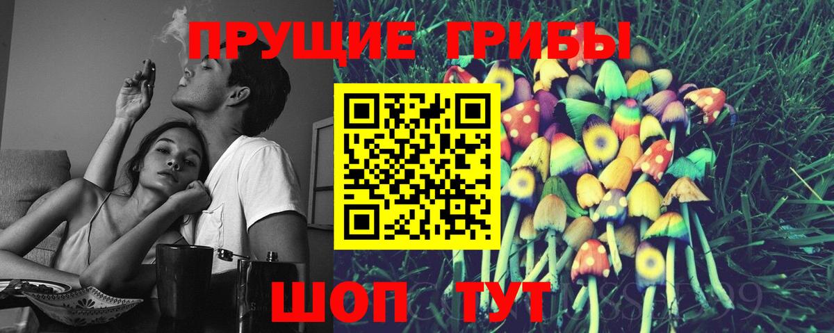 Псилоцибиновые грибы мицелий Саяногорск